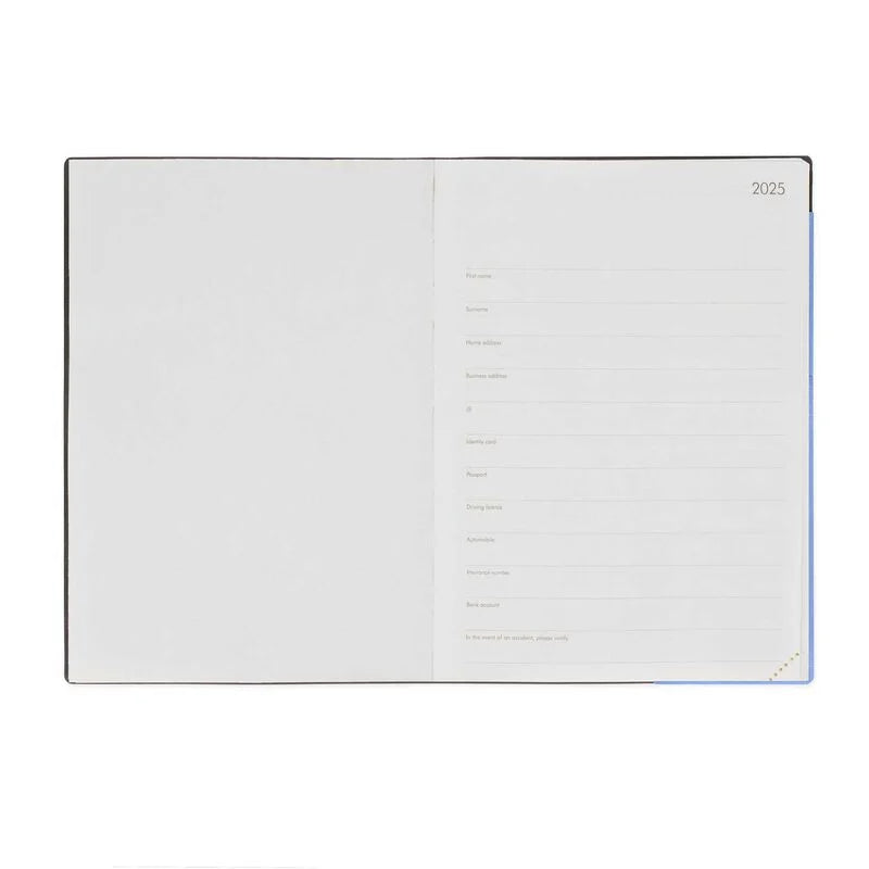 Stationery | Legami 12 Month Large Daily Diary 2025 Cornflower by Weirs of Baggot Street