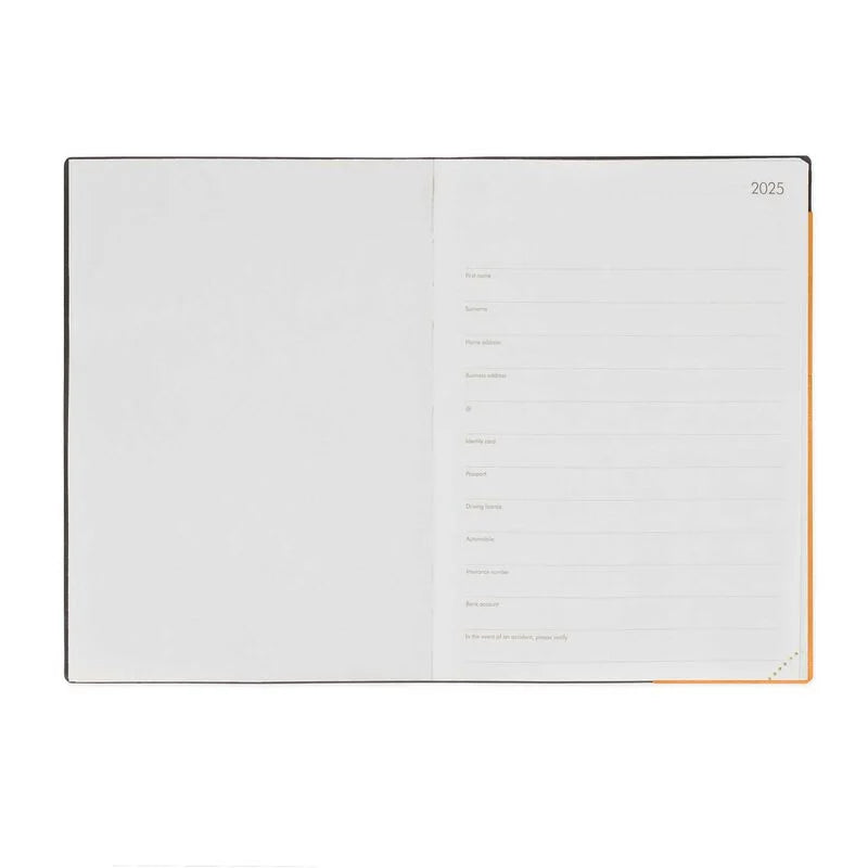 Stationery | Legami 12 Month Large Daily Diary 2025 Orange & Apricot Crush by Weirs of Baggot Street