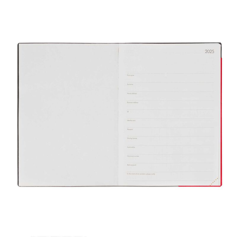 Stationery | Legami 12 Month Large Daily Diary 2025 Radiant Red by Weirs of Baggot Street