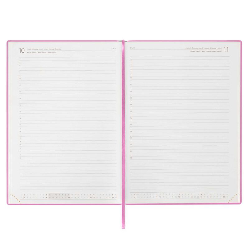 Stationery | Legami 12 Month Maxi Daily Diary 2025 Bubblegum by Weirs of Baggot Street