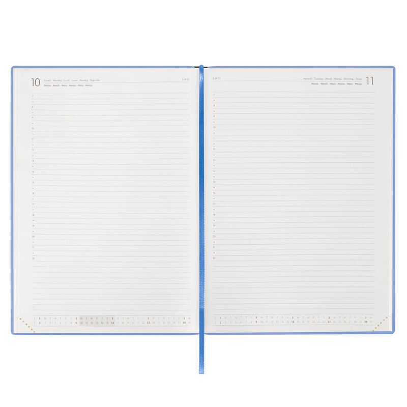 Stationery | Legami 12 Month Maxi Daily Diary 2025 Cornflower by Weirs of Baggot Street