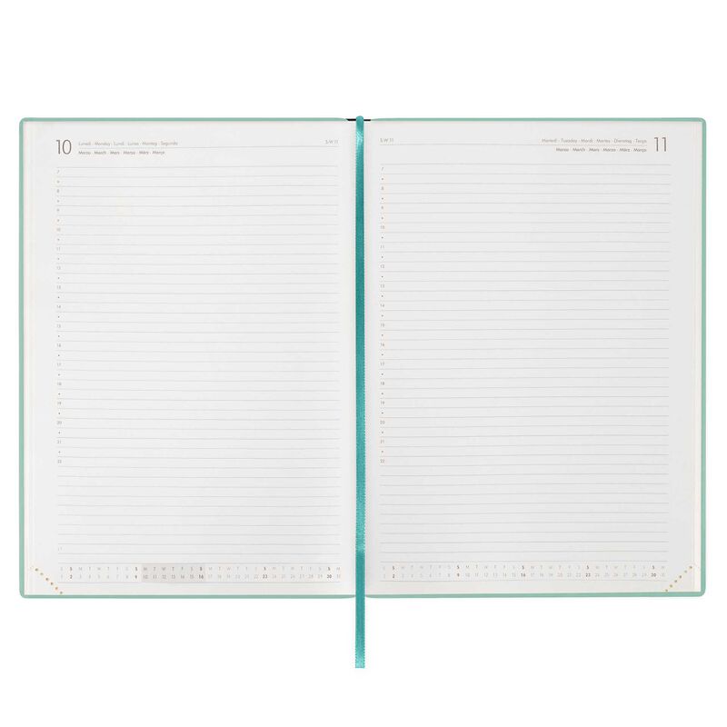 Stationery | Legami 12 Month Maxi Daily Diary 2025 Milk & Mint by Weirs of Baggot Street