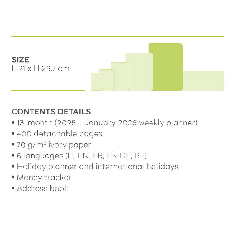 Stationery | Legami 12 Month Maxi Daily Diary 2025 Milk & Mint by Weirs of Baggot Street