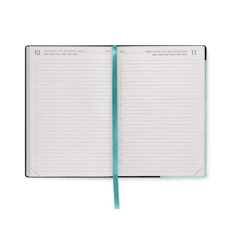 Stationery | Legami 12 Month Medium Daily Diary 2025 Milk And Mint by Weirs of Baggot Street