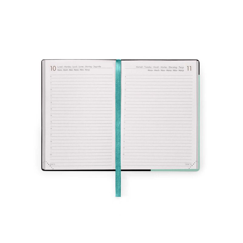 Stationery | Legami 12 Month Small Daily Diary 2025 Milk & Mint by Weirs of Baggot Street