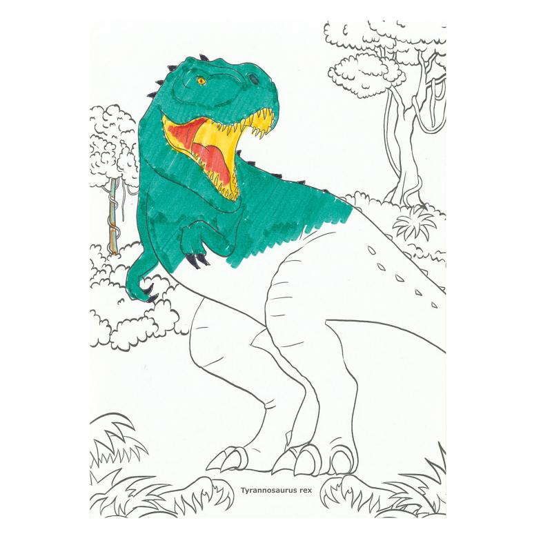 Bubs & Kids | Dino World Magic Markers by Weirs of Baggot Street