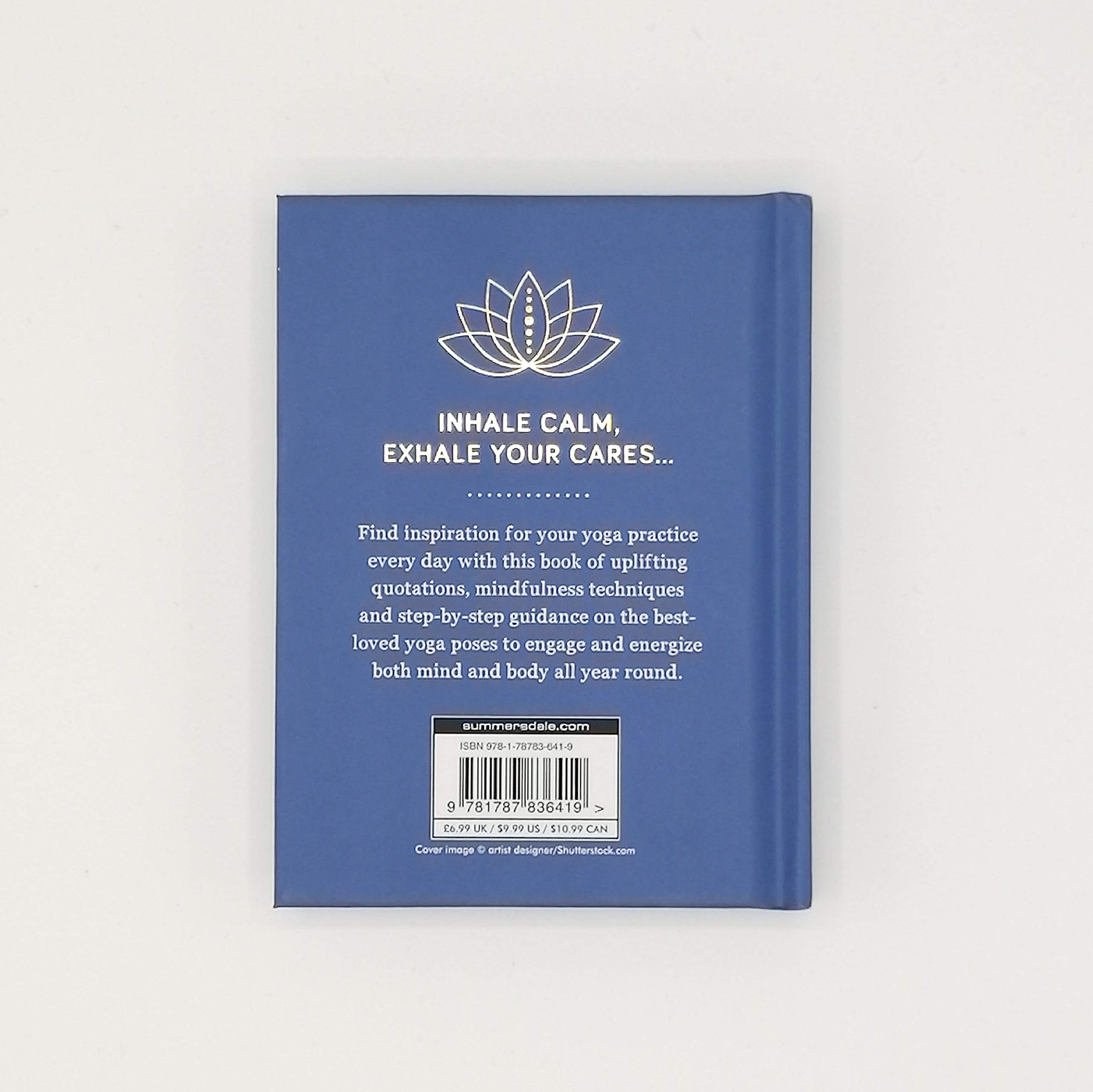 Brilliant Books | 365 Days of Yoga by Weirs of Baggot Street