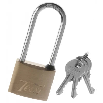 Security | Tessi 2 X 40mm Padlock by Weirs of Baggot St 