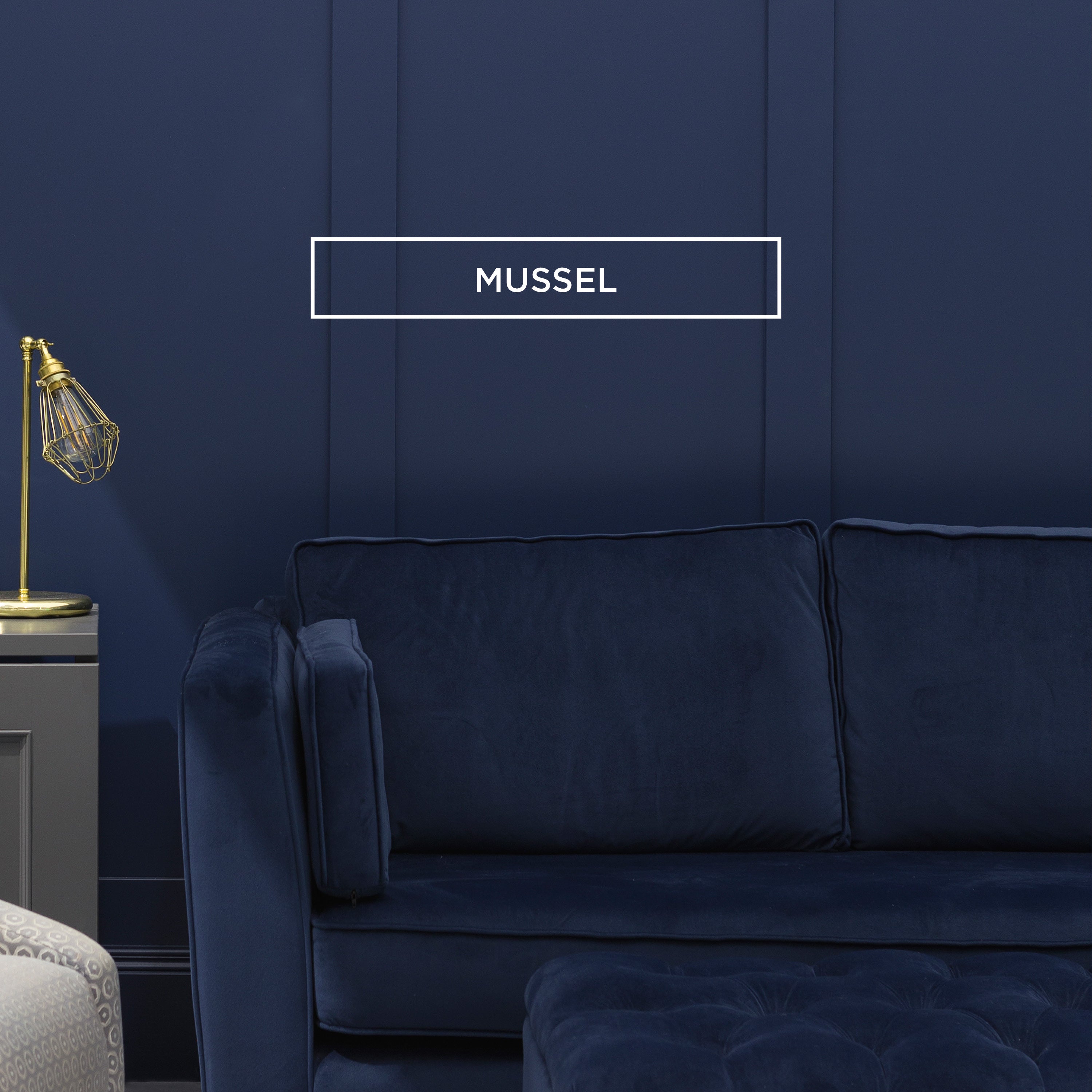 Colourtrend Mussel | Same Day Dublin Delivery by Weirs of Baggot St