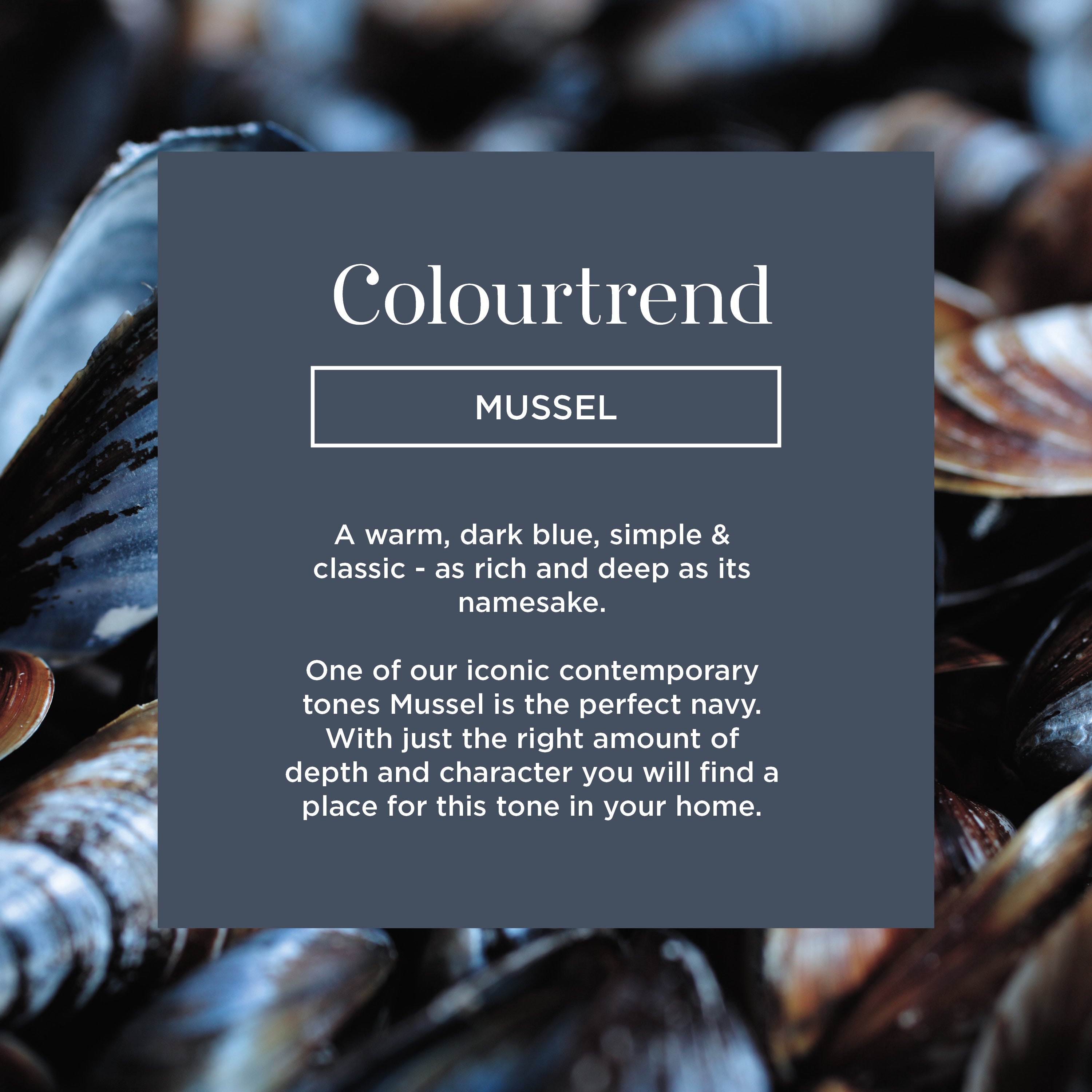 Colourtrend Mussel | Same Day Dublin Delivery by Weirs of Baggot St