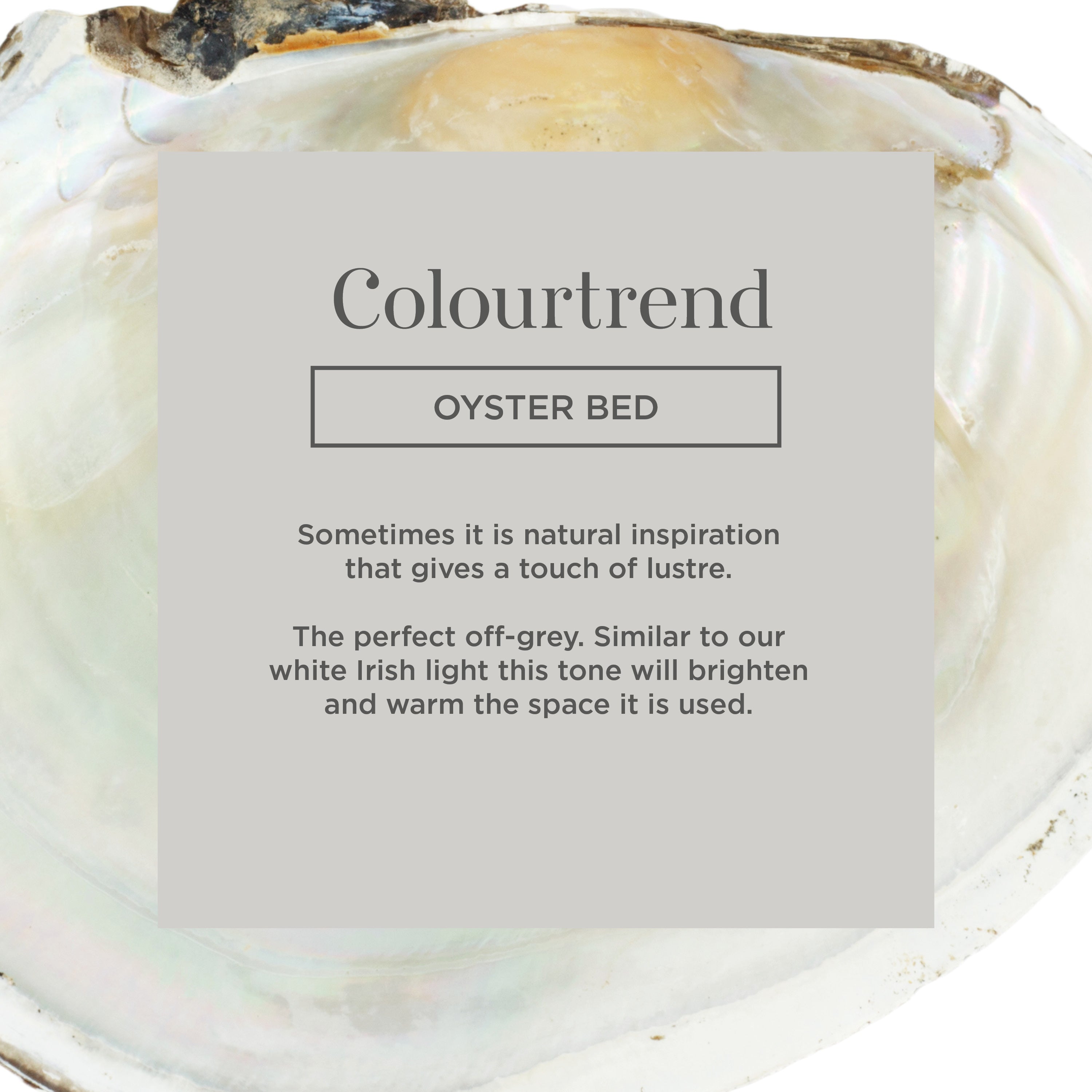 Colourtrend Oyster Bed | Same Day Dublin and Nationwide Paint in Ireland Delivery by Weirs of Baggot Street - Official Colourtrend Stockist