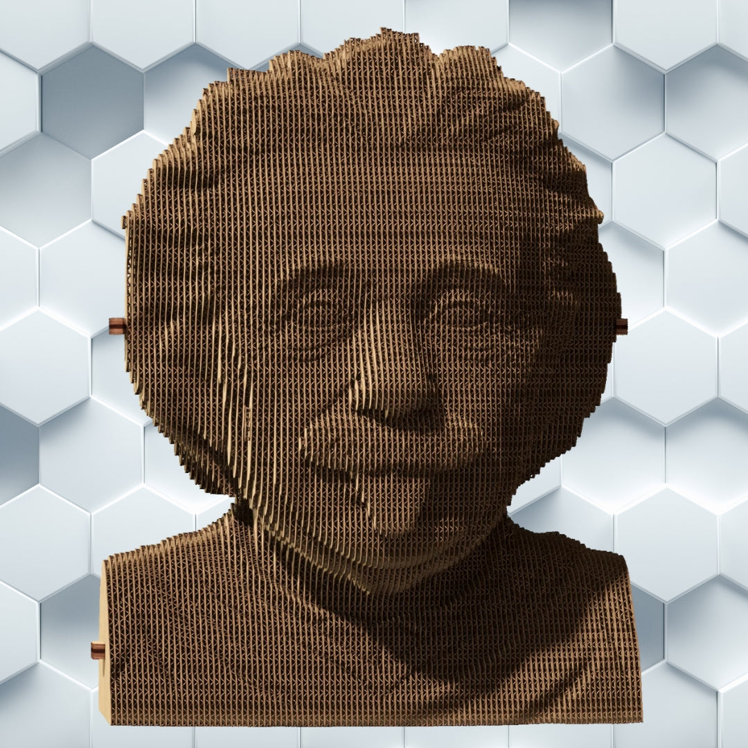 Cartonic 3D Cardboard Puzzle Albert Einstein | Fabulous Gifts by Weirs of Baggot Street