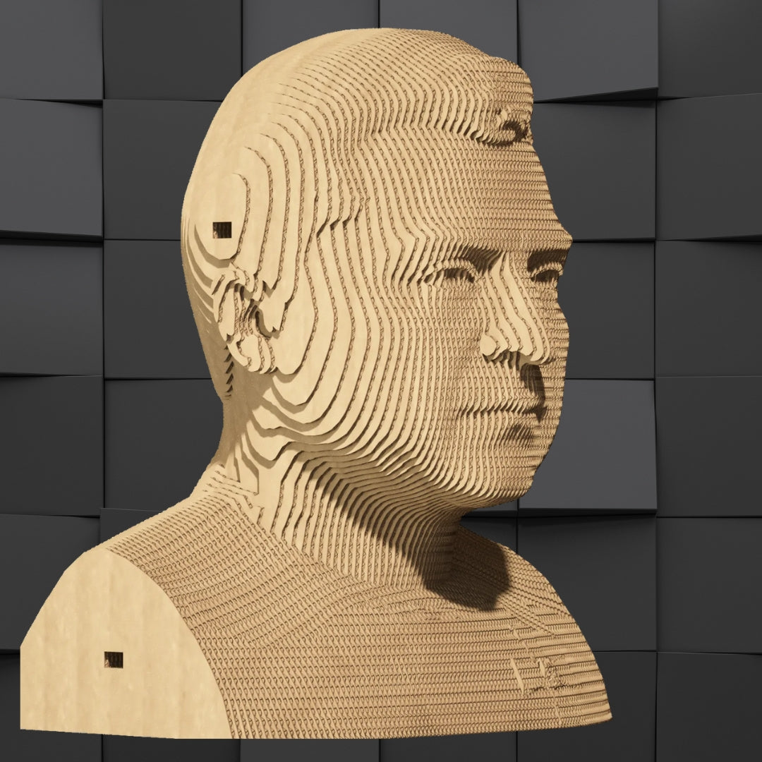 Cartonic 3D Cardboard Puzzle Volodymyr Zelenskyy | Fabulous Gifts by Weirs of Baggot Street