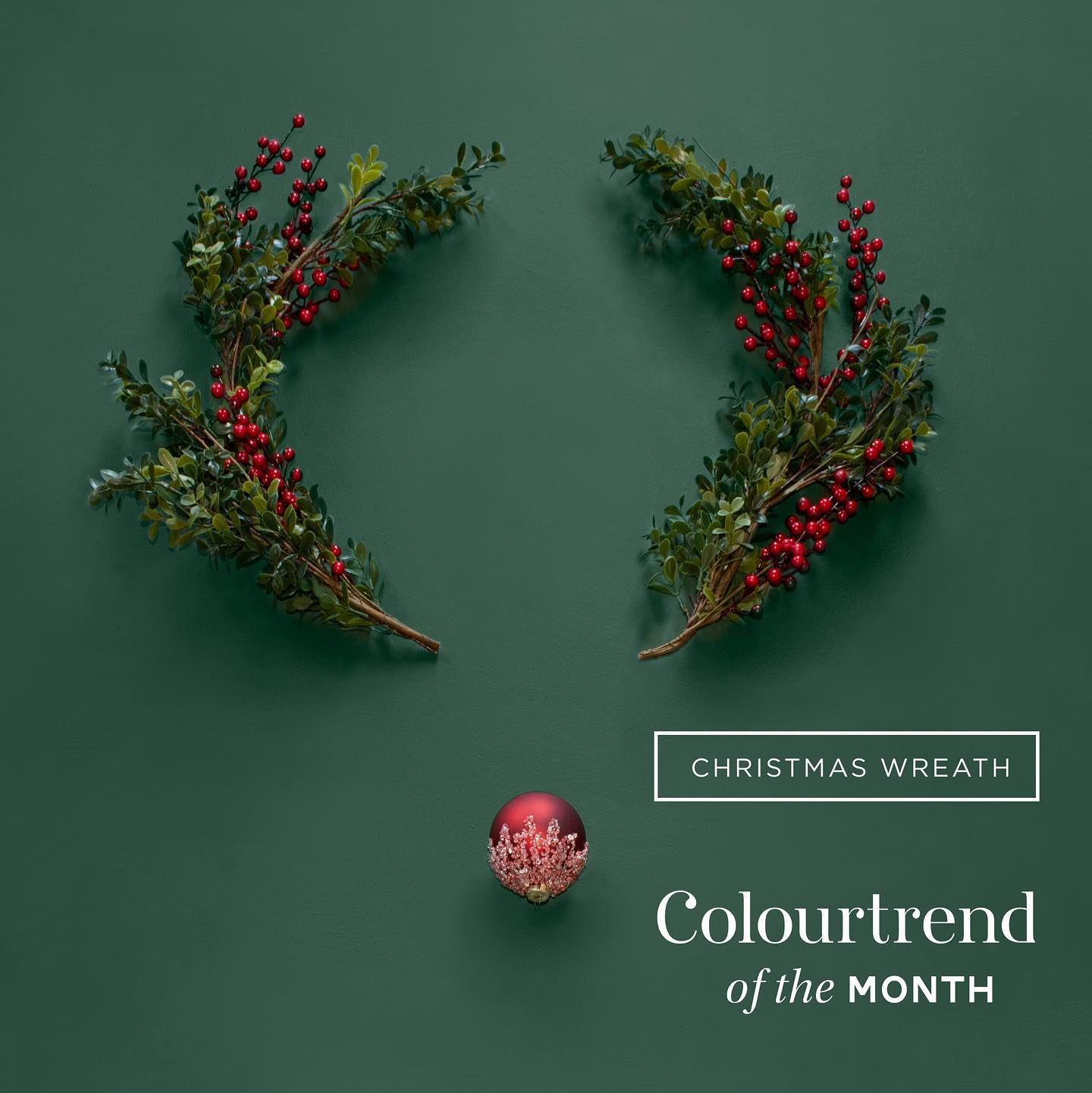 Colourtrend Christmas Wreath | Same Day Delivery by Weirs of Baggot St