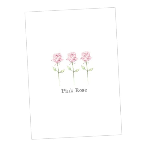 Crumble & Core | Boxed 'Flower' Pack Of Assorted A6 Cards by Weirs of Baggot Street