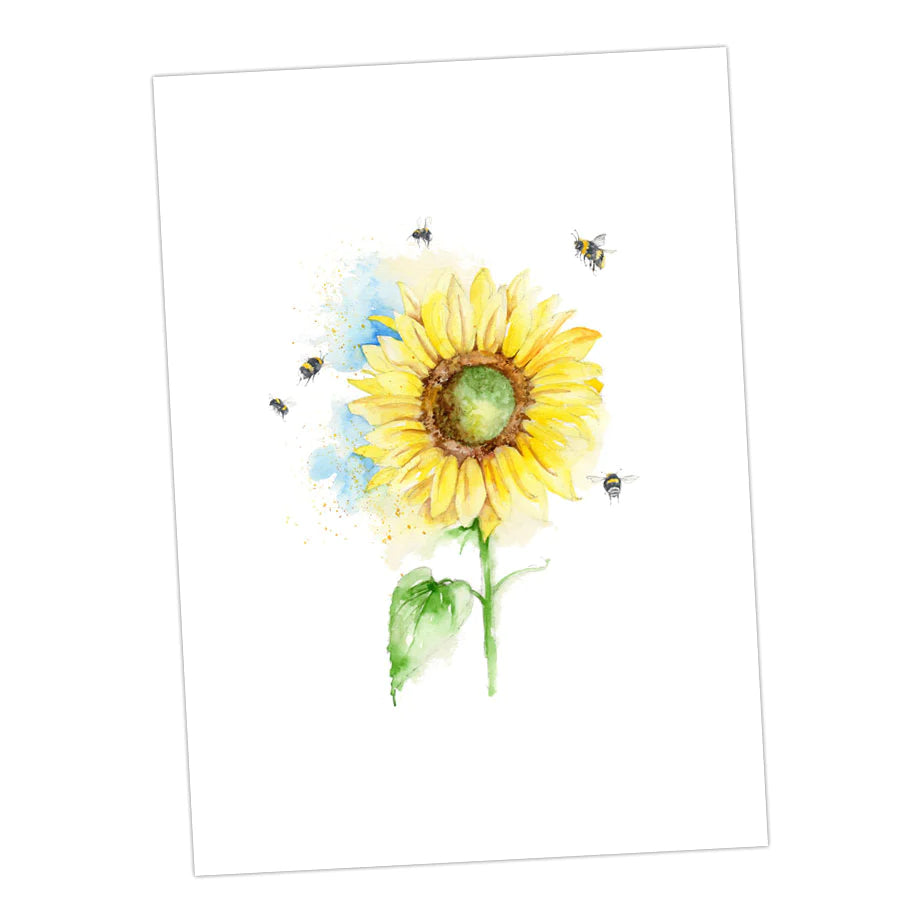 Crumble & Core | Bumble Bee 6pk Assorted Cards by Weirs of Baggot Street