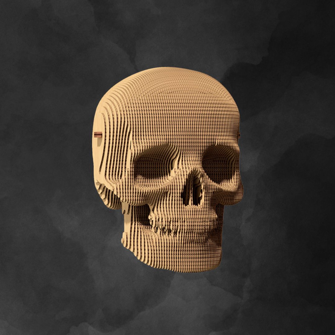 Fab Gifts | Cartonic 3D Cardboard Puzzle Skull by Weirs of Baggot Street