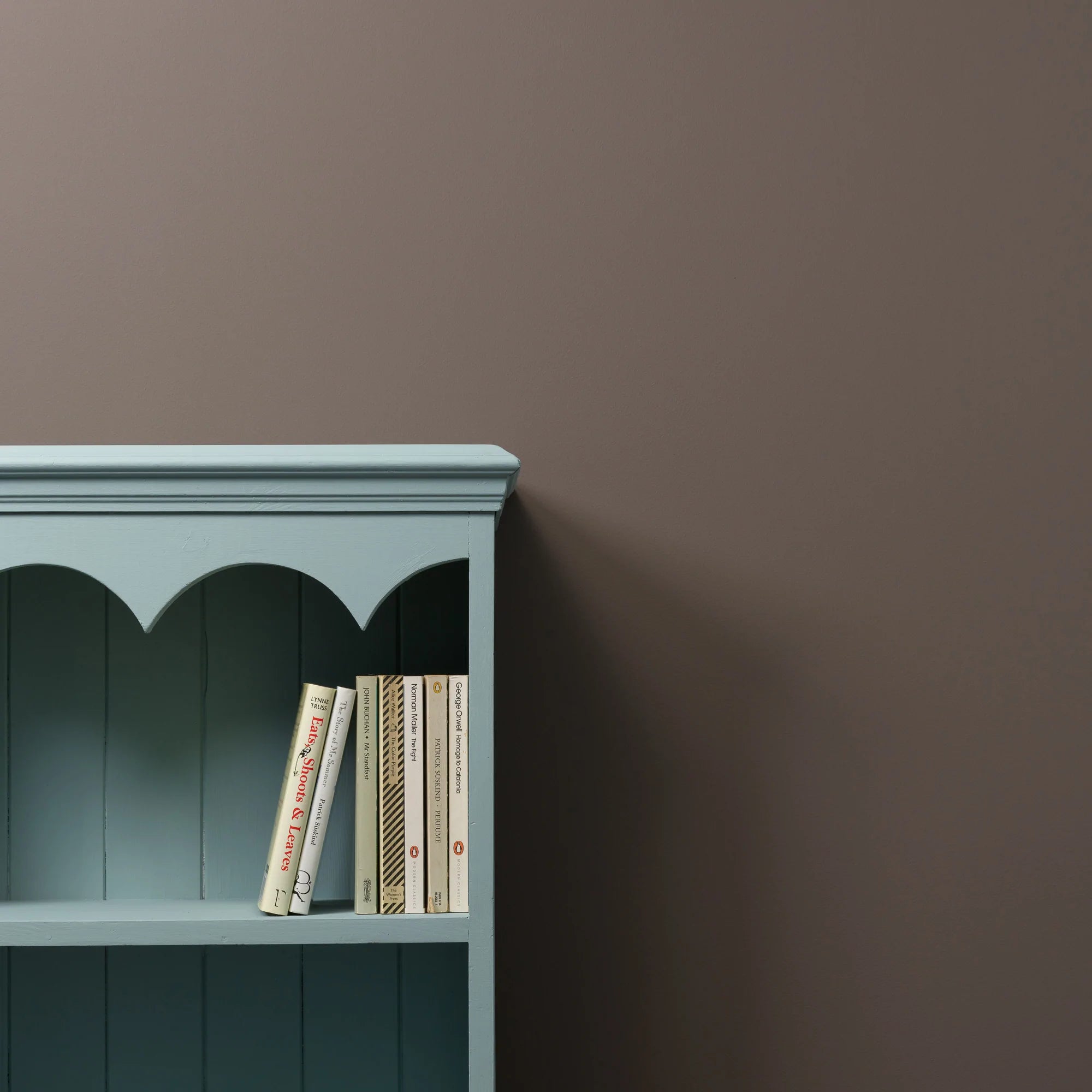 Frenchic Paint | Donkey Derby Wall Paint Sample by Weirs of Baggot Street