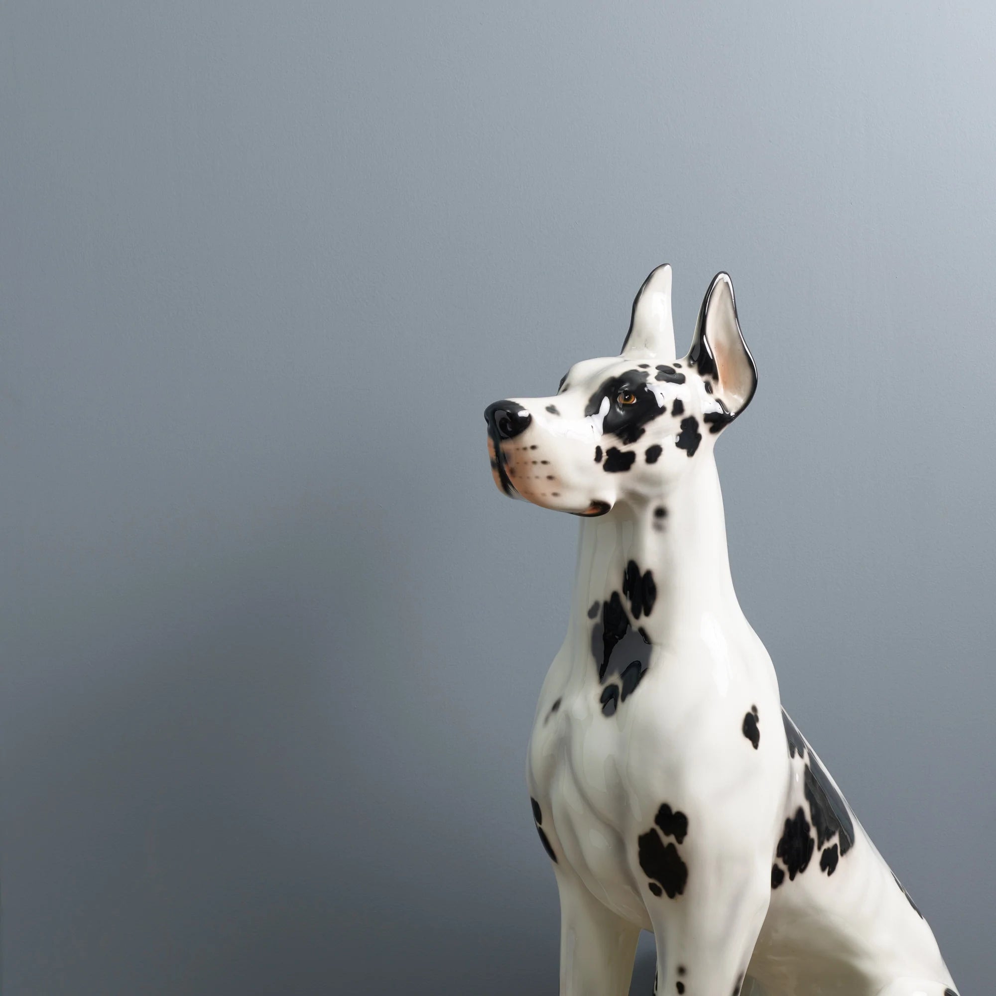 Frenchic Paint | Greyhound Wall Paint Sample by Weirs of Baggot Street