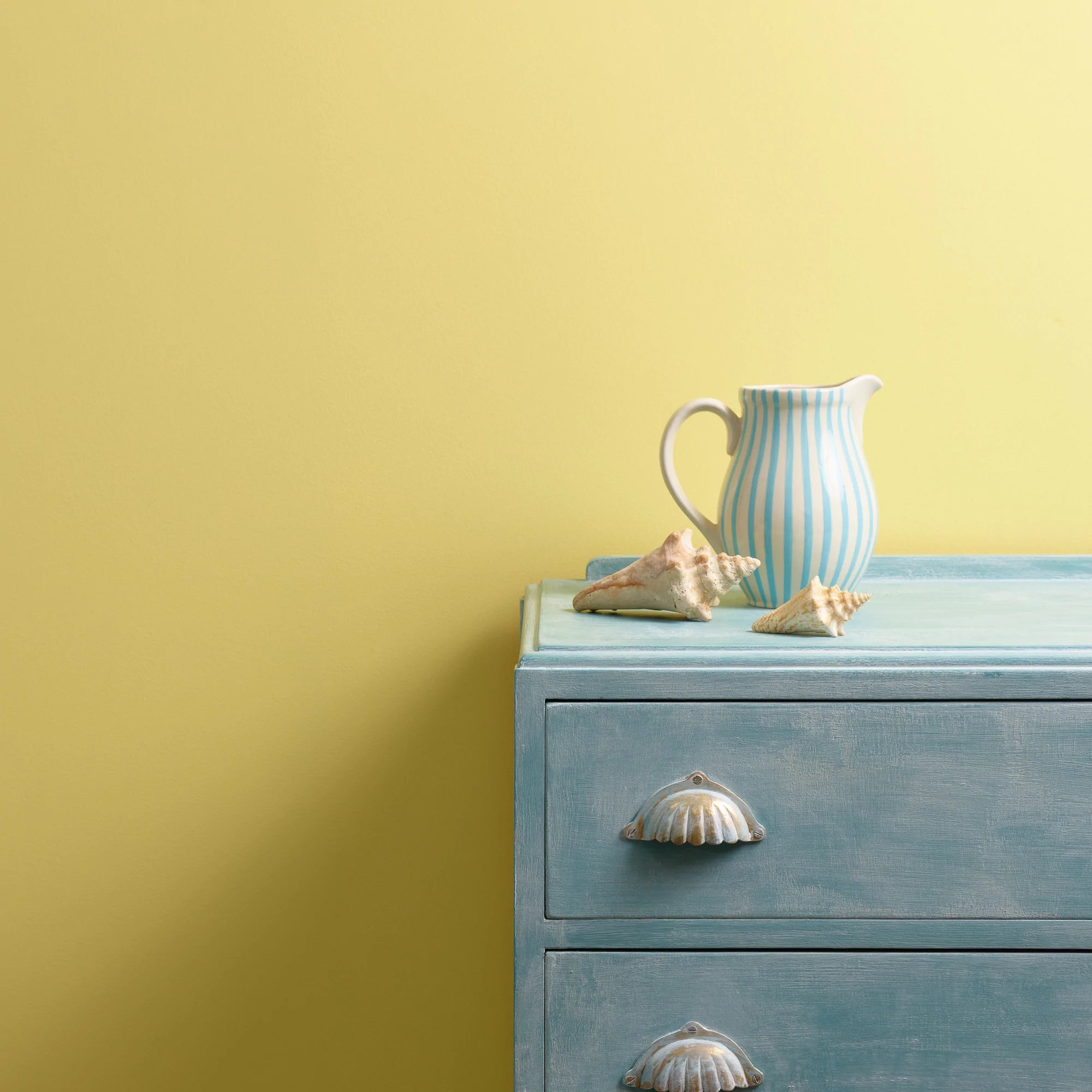 Frenchic Paint | Oopsy Daisy Wall Paint Sample by Weirs of Baggot Street