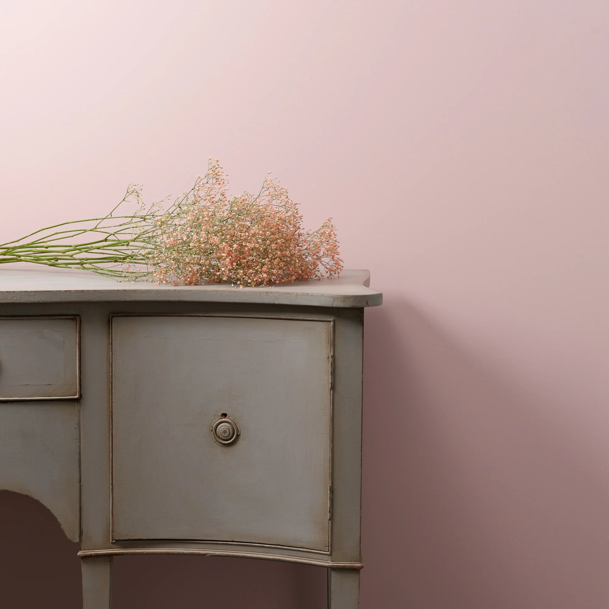 Frenchic Paint | Rosy Duck Wall Wall Paint 2.5L by Weirs of Baggot Street