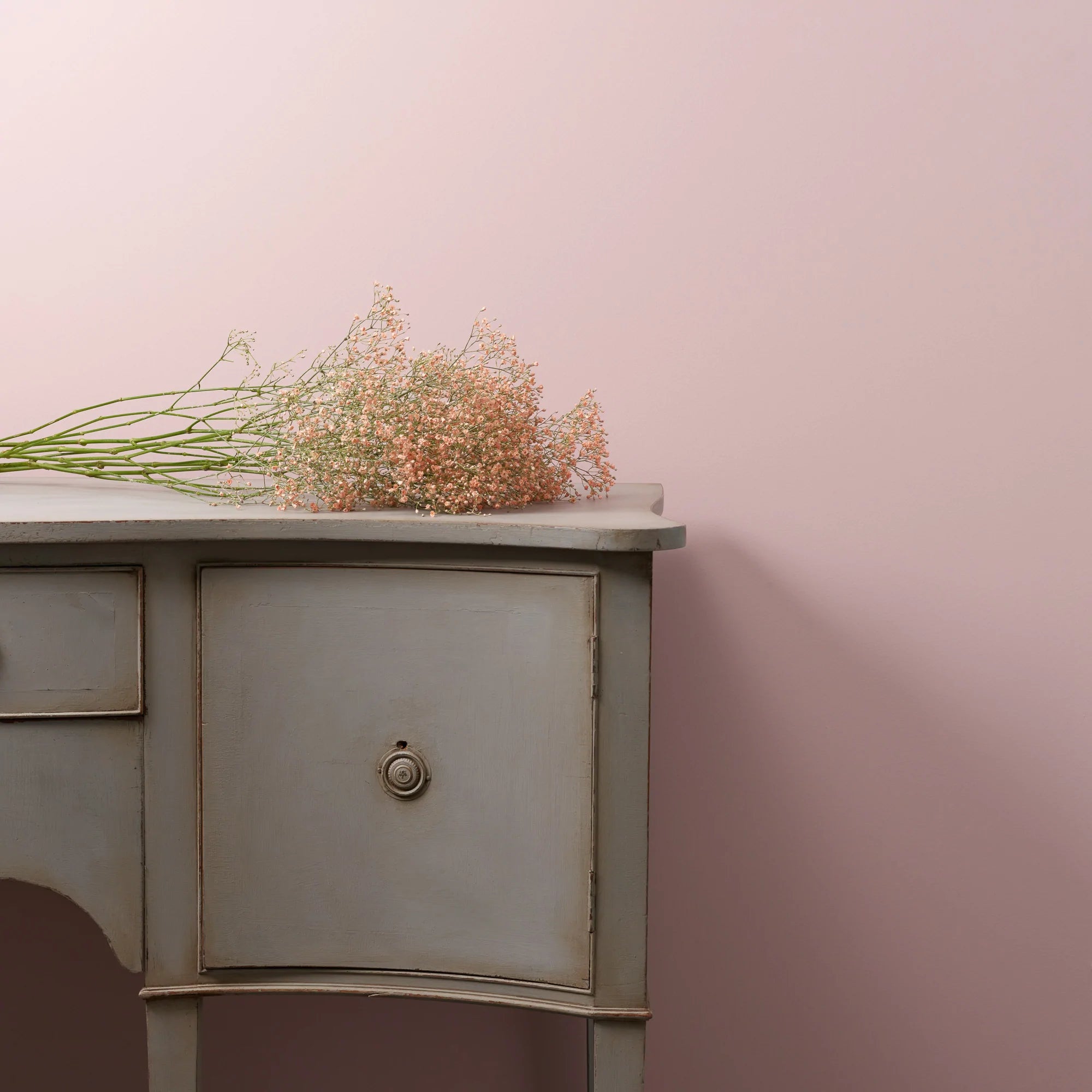 Frenchic Paint | Rosy Duck Wall Wall Paint Sample by Weirs of Baggot Street