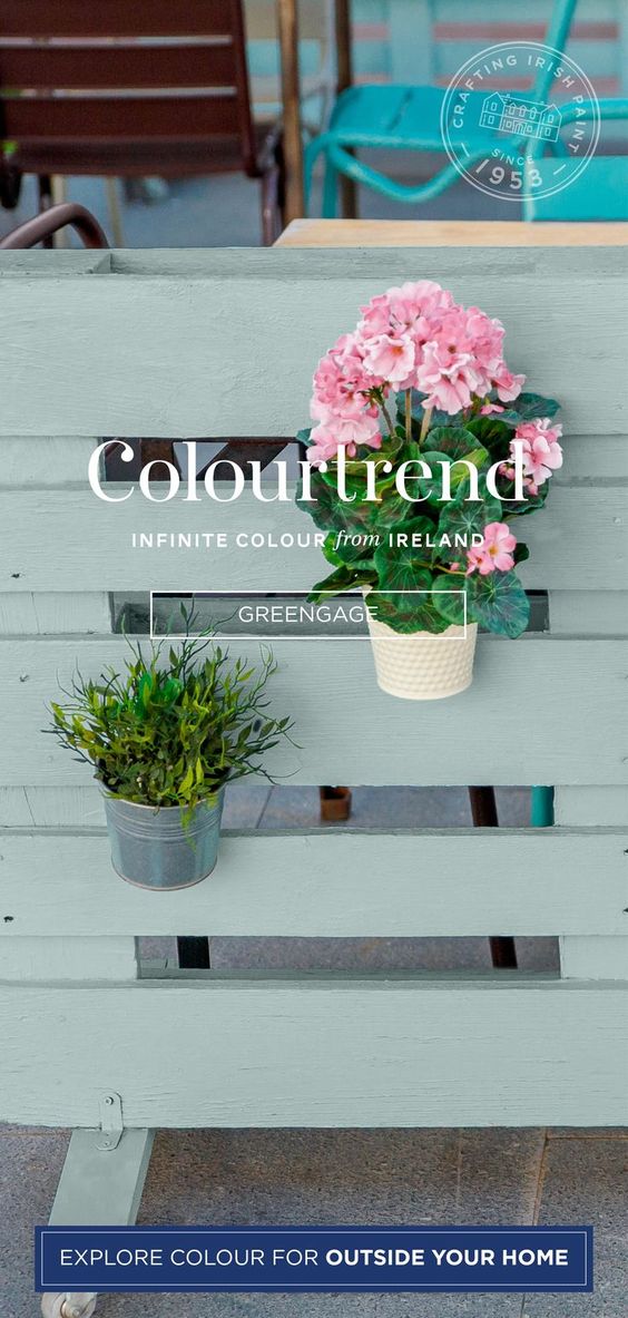 Colourtrend Greengage | Same Day Dublin Delivery by Weirs of Baggot St