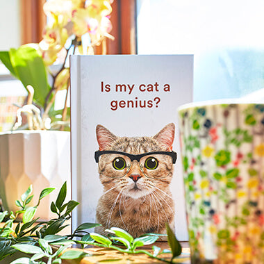 Brilliant Books | Is My Cat a Genius by Weirs of Baggot Street