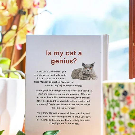 Brilliant Books | Is My Cat a Genius by Weirs of Baggot Street