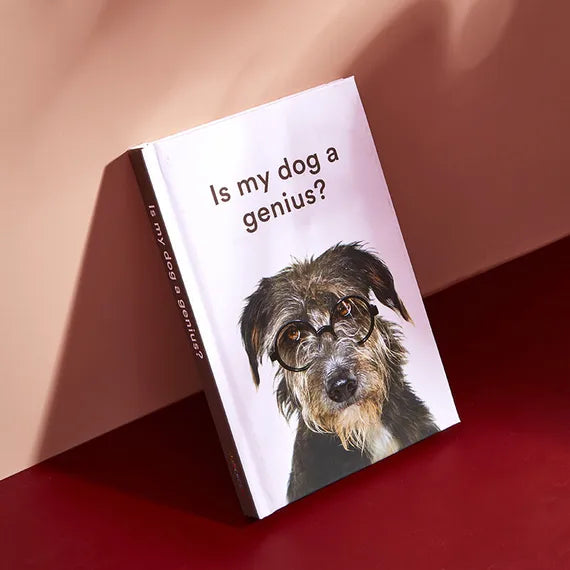 Brilliant Books | Is My Dog a Genius by Weirs of Baggot Street
