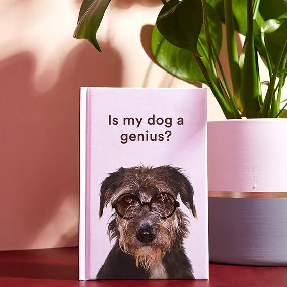 Brilliant Books | Is My Dog a Genius by Weirs of Baggot Street