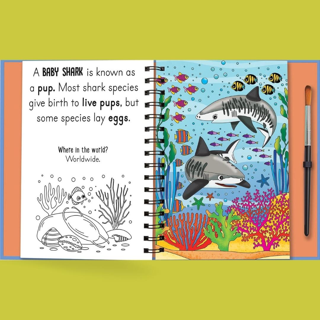 Magic Water Colouring - Woof and Meow Baby Animals - Little Bookworms by Weirs of Baggot Street