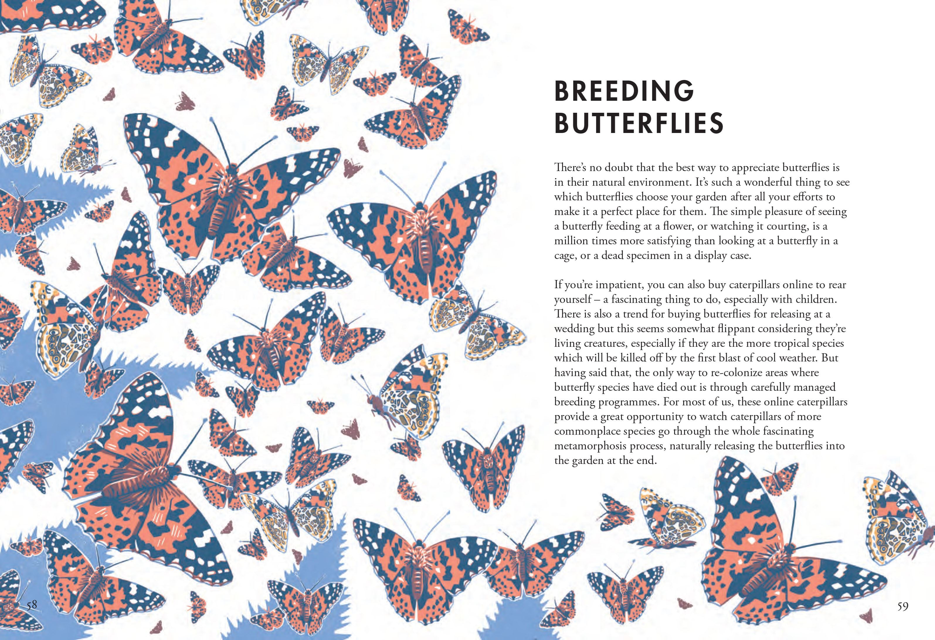 NEW Books | Planting For Butterflies by Weirs of Baggot St