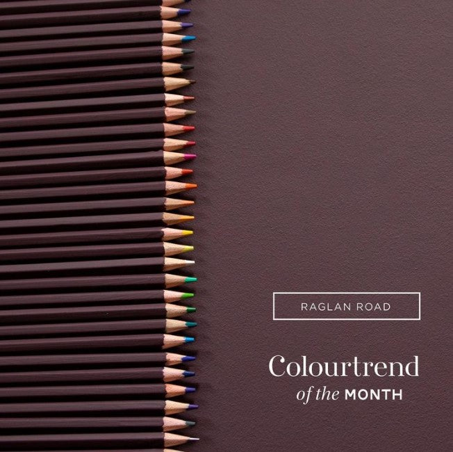 Colourtrend Raglan Road | Same Day Delivery by Weirs of Baggot St