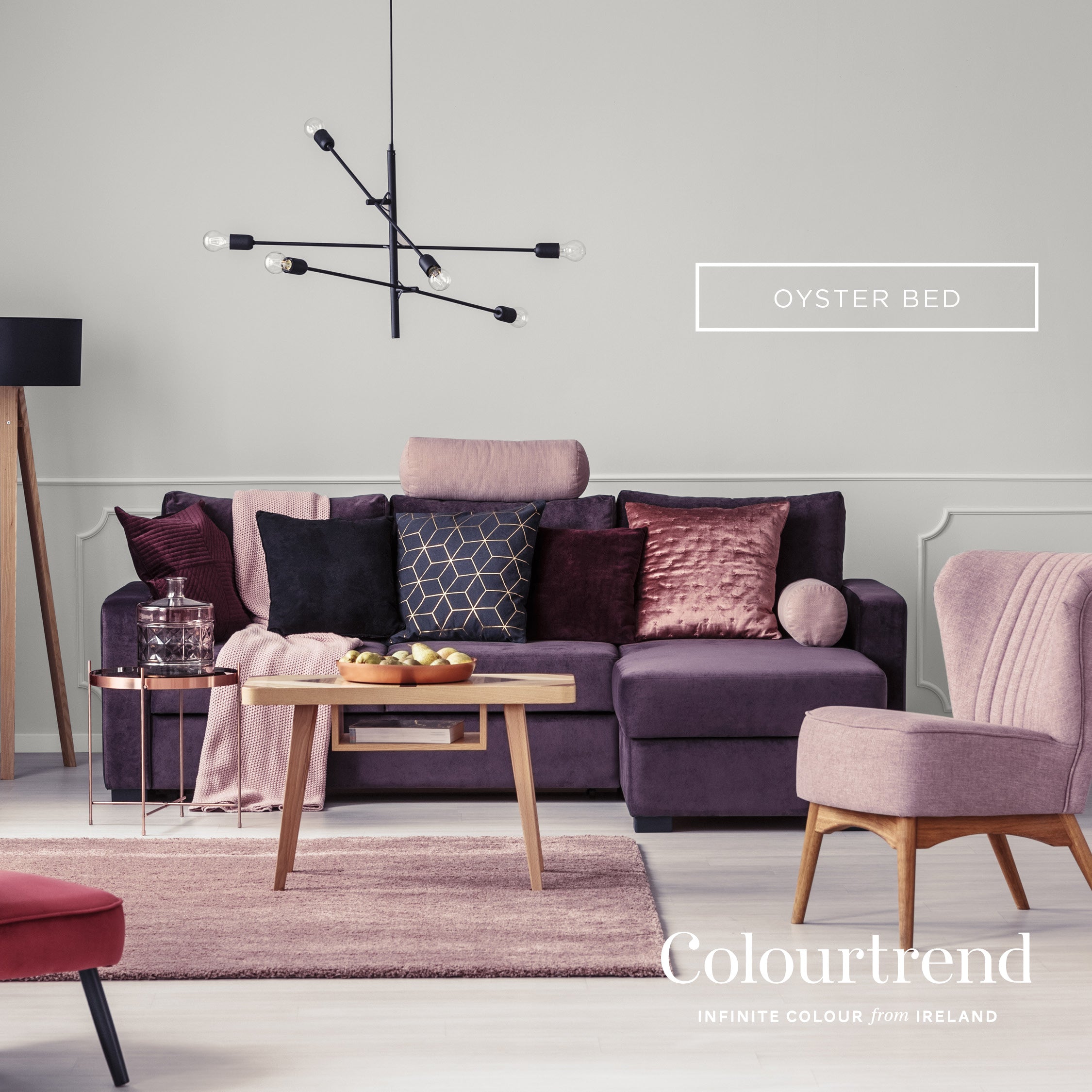 Oyster Bed by Colourtrend - Order Beautiful Paints from our Contemporary  Collection - Colourtrend Paints