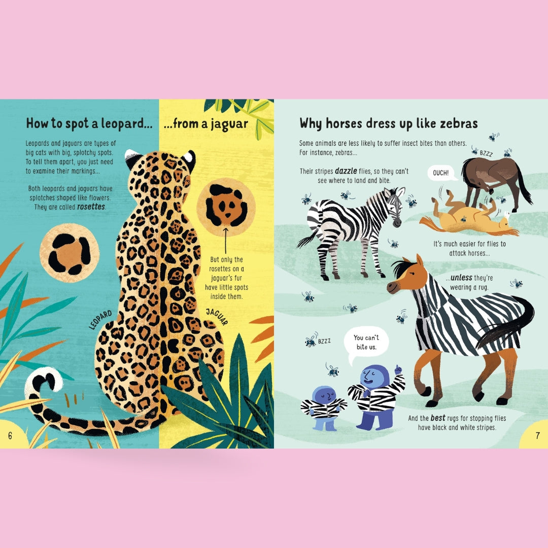 Usborne Lots of Things to Know About Animals - Little Bookworms by Weirs of Baggot Street