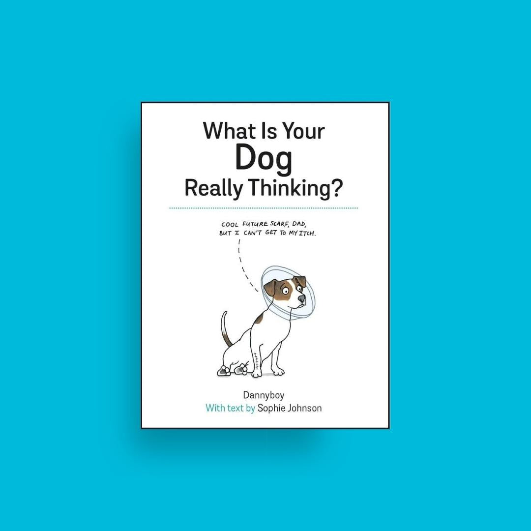 What Is Your Dog Really Thinking - Sophie Johnson & Danny Cameron. Brilliant Books by Weirs of Baggot Street