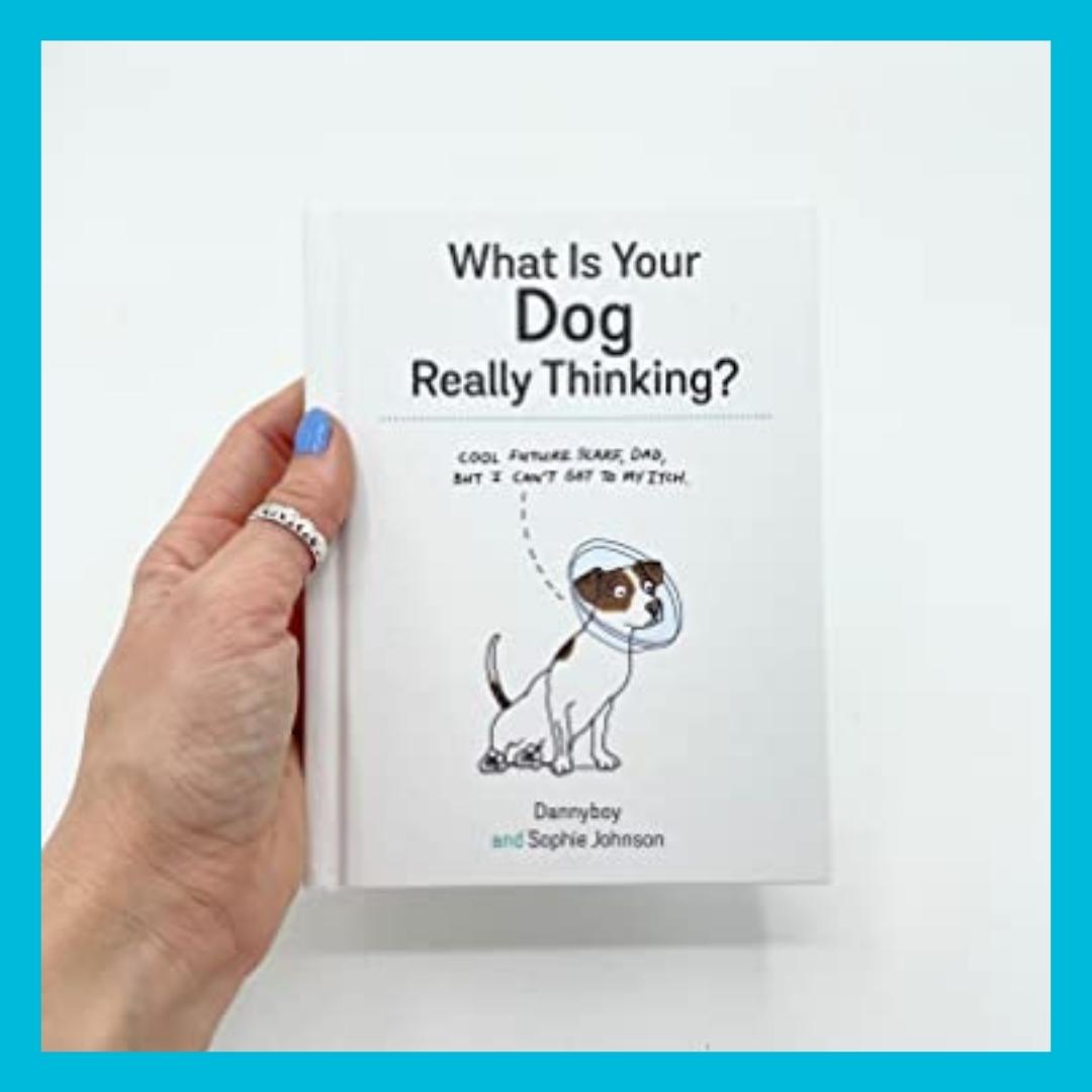 What Is Your Dog Really Thinking - Sophie Johnson & Danny Cameron. Brilliant Books by Weirs of Baggot Street