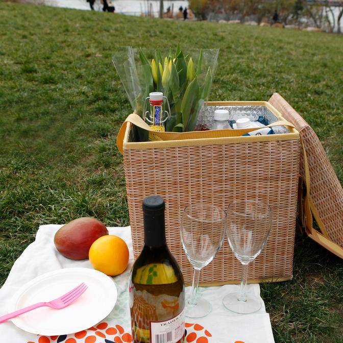 Wicker Picnic Cooler Seat - Weirs of Baggot St